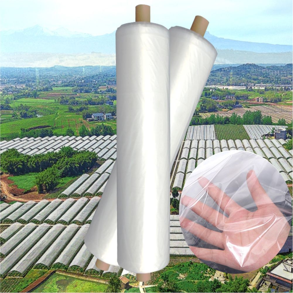 Agricultural Farm Greenhouse P - Agriculture Farming Vegetables 评论和价格