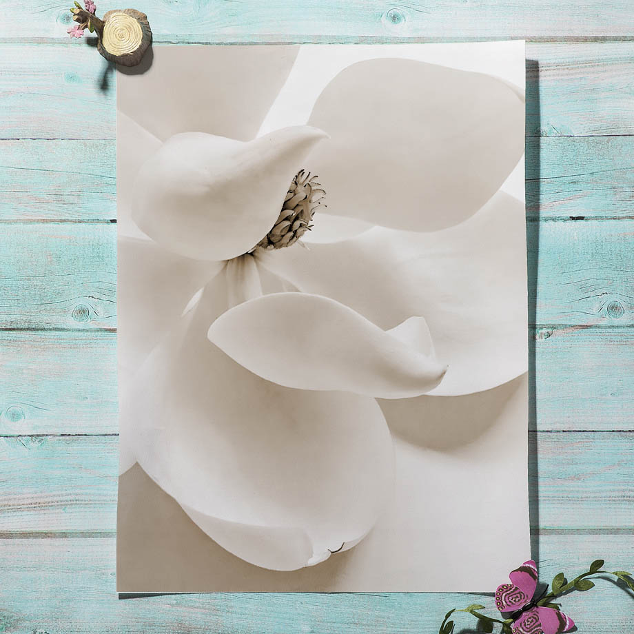 Beige Reed Peony Orchid Rose B - Orchard Sprayer Tractor 评论和价格