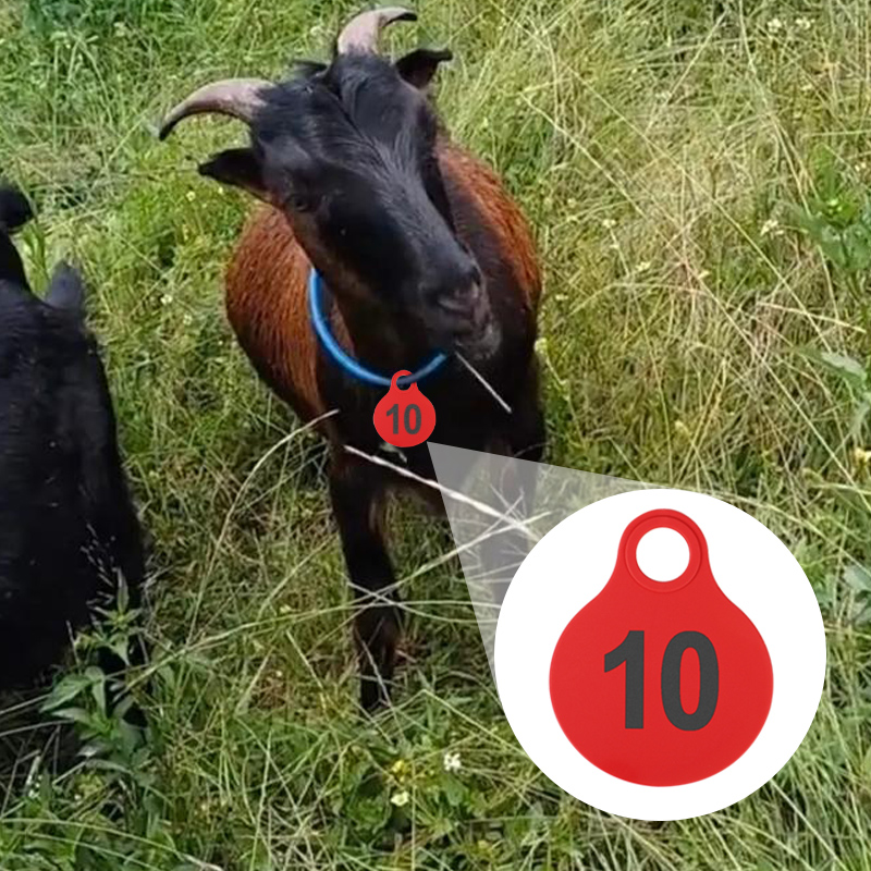 001-100 Cattle TPU Hanging Tag - Livestock Ear Tag 评论和价格